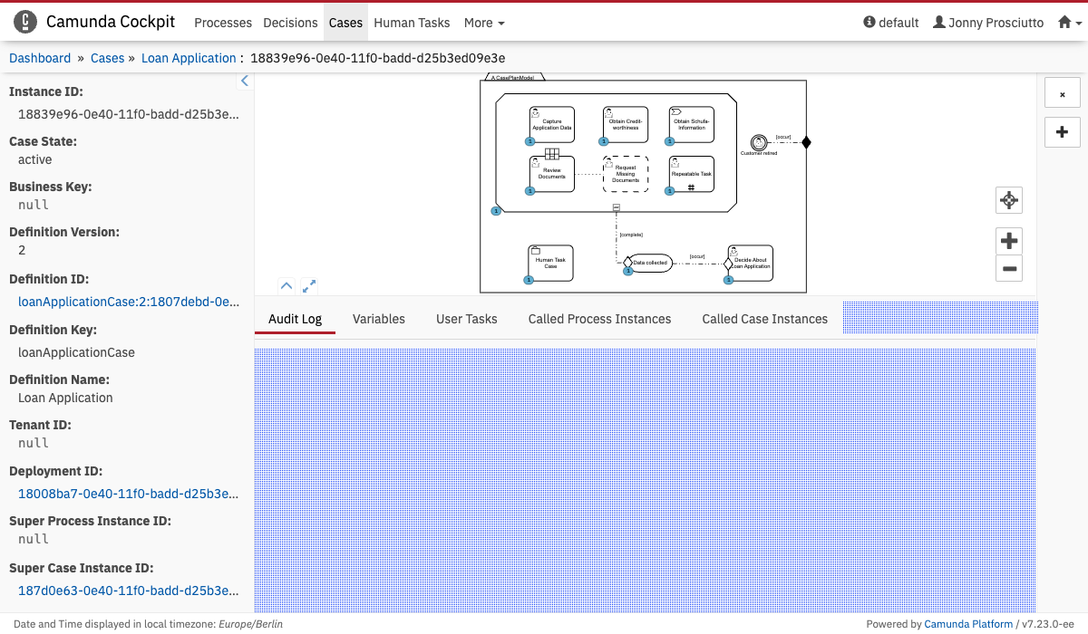Case Instance Tab