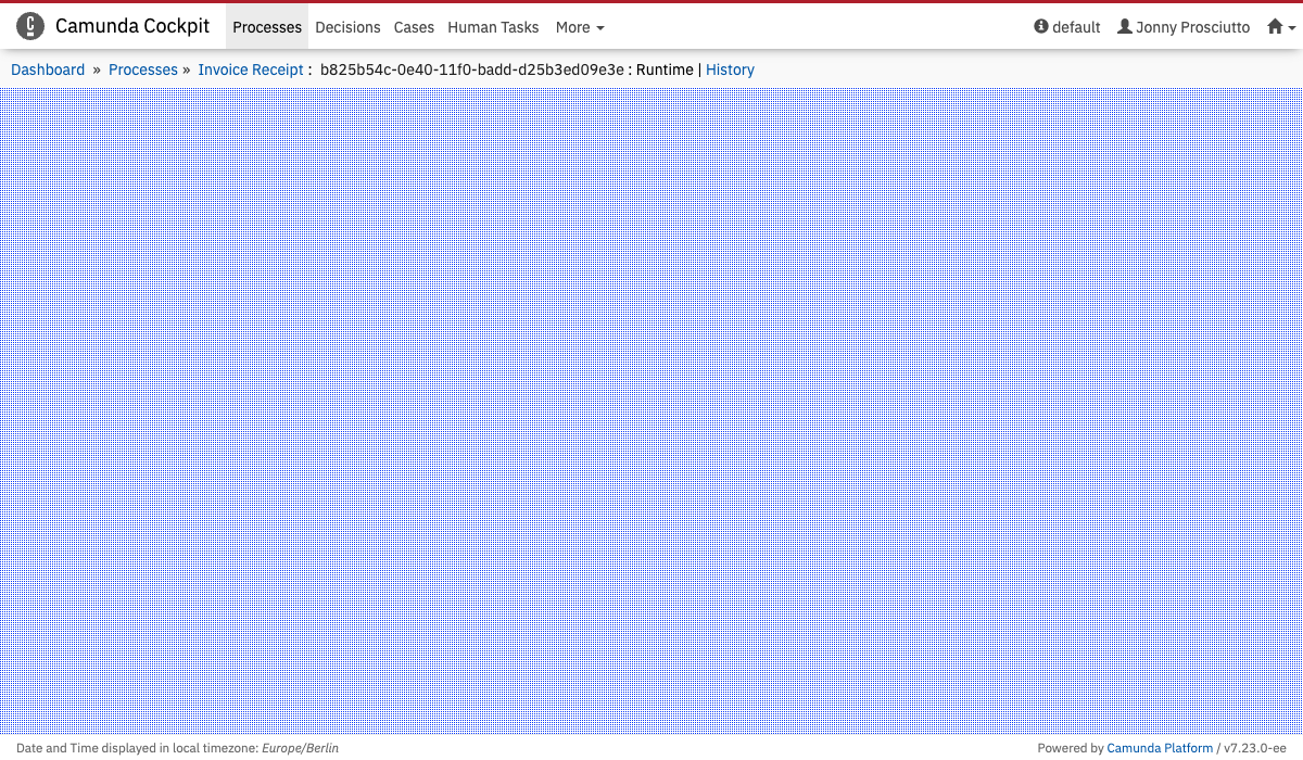 Process Instance View